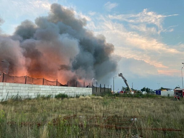 BOKSY REI co to jest?